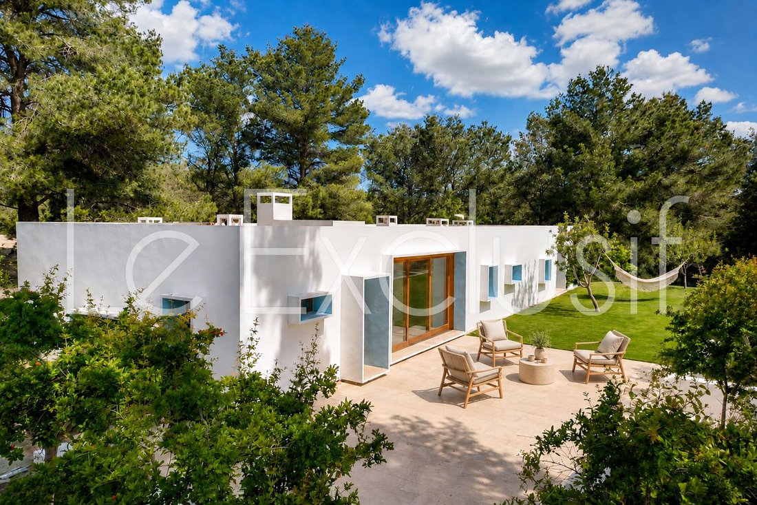 Villa in Santa Gertrudis de Fruitera, Santa Eularia des Riu, Balearic Islands 1 - 18935730