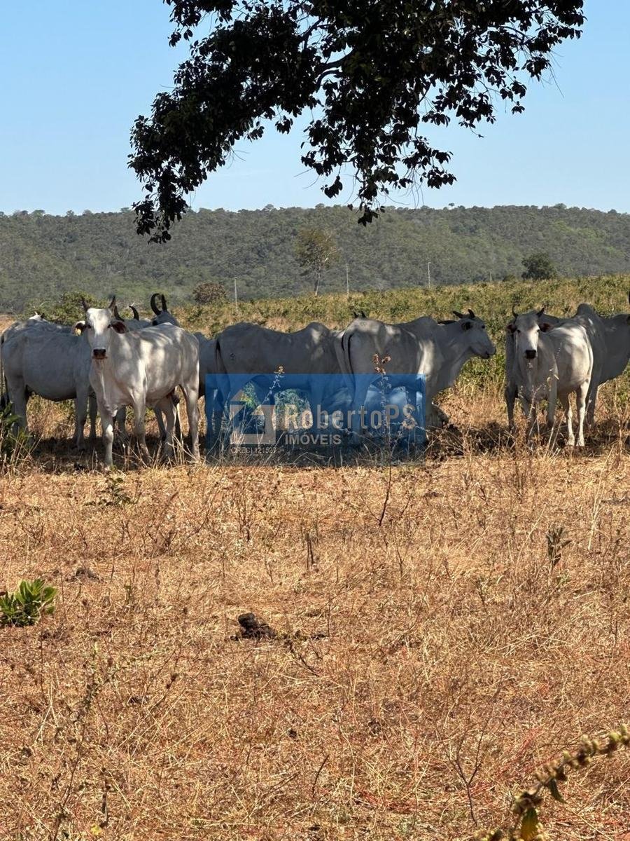 Farm Ranch in São José dos Campos, State of São Paulo, Brazil 5 - 18933332