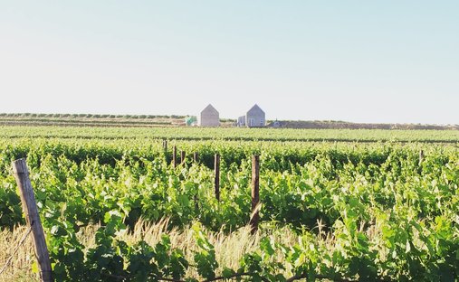 Farm Ranch in Vredendal, Western Cape, South Africa 1