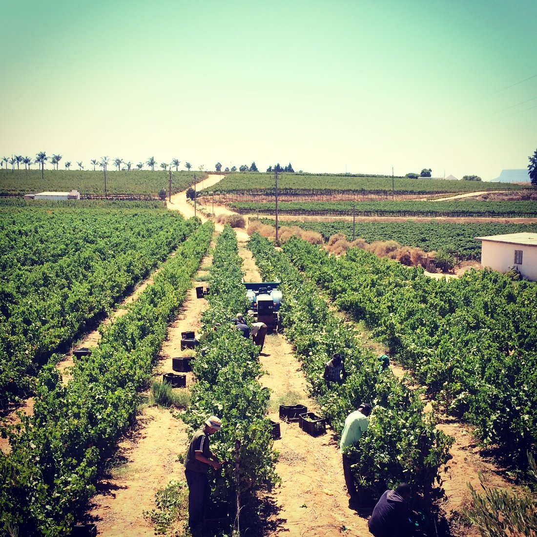 Farm Ranch in Vredendal, Western Cape, South Africa 2 - 18932733