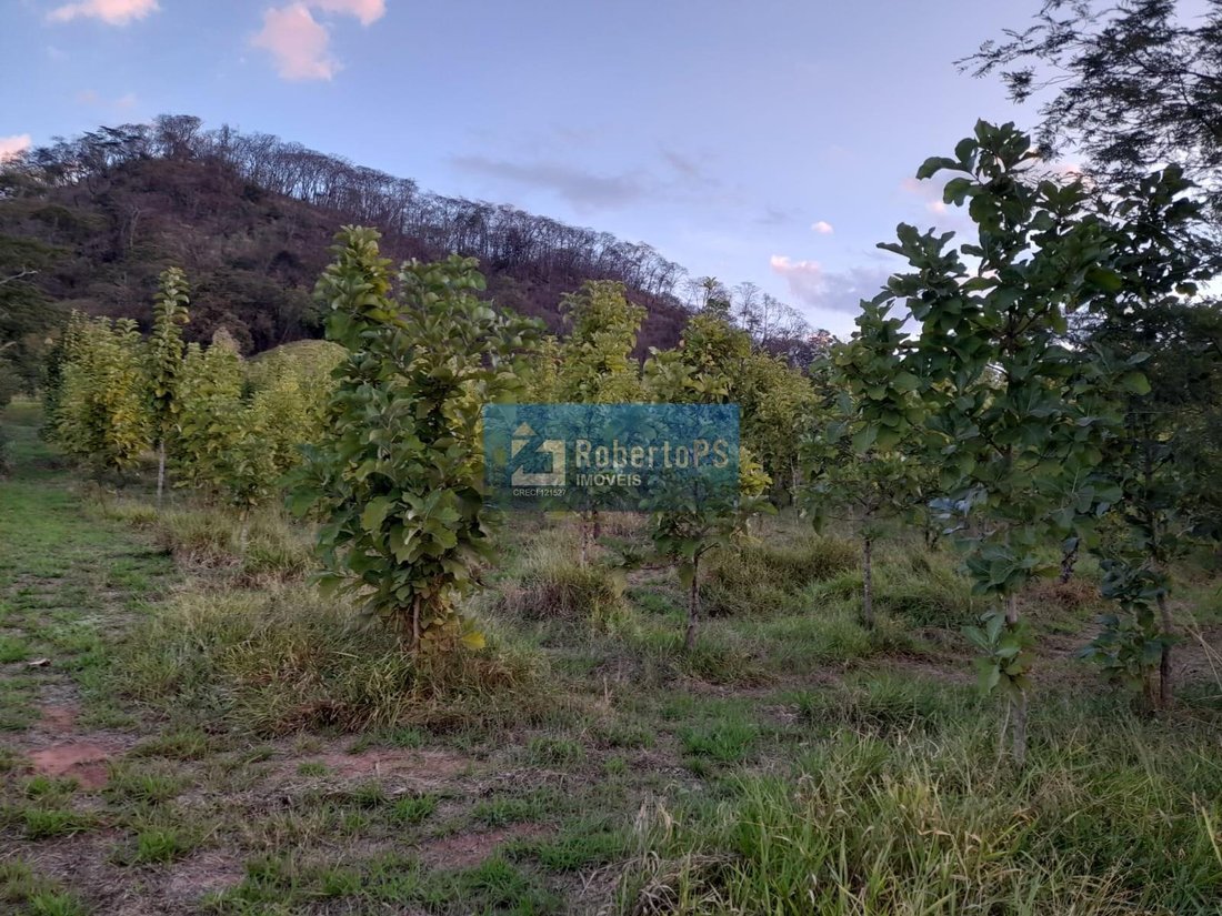 Farm Ranch in Ribeirão Bonito, State of São Paulo, Brazil 4 - 18933336