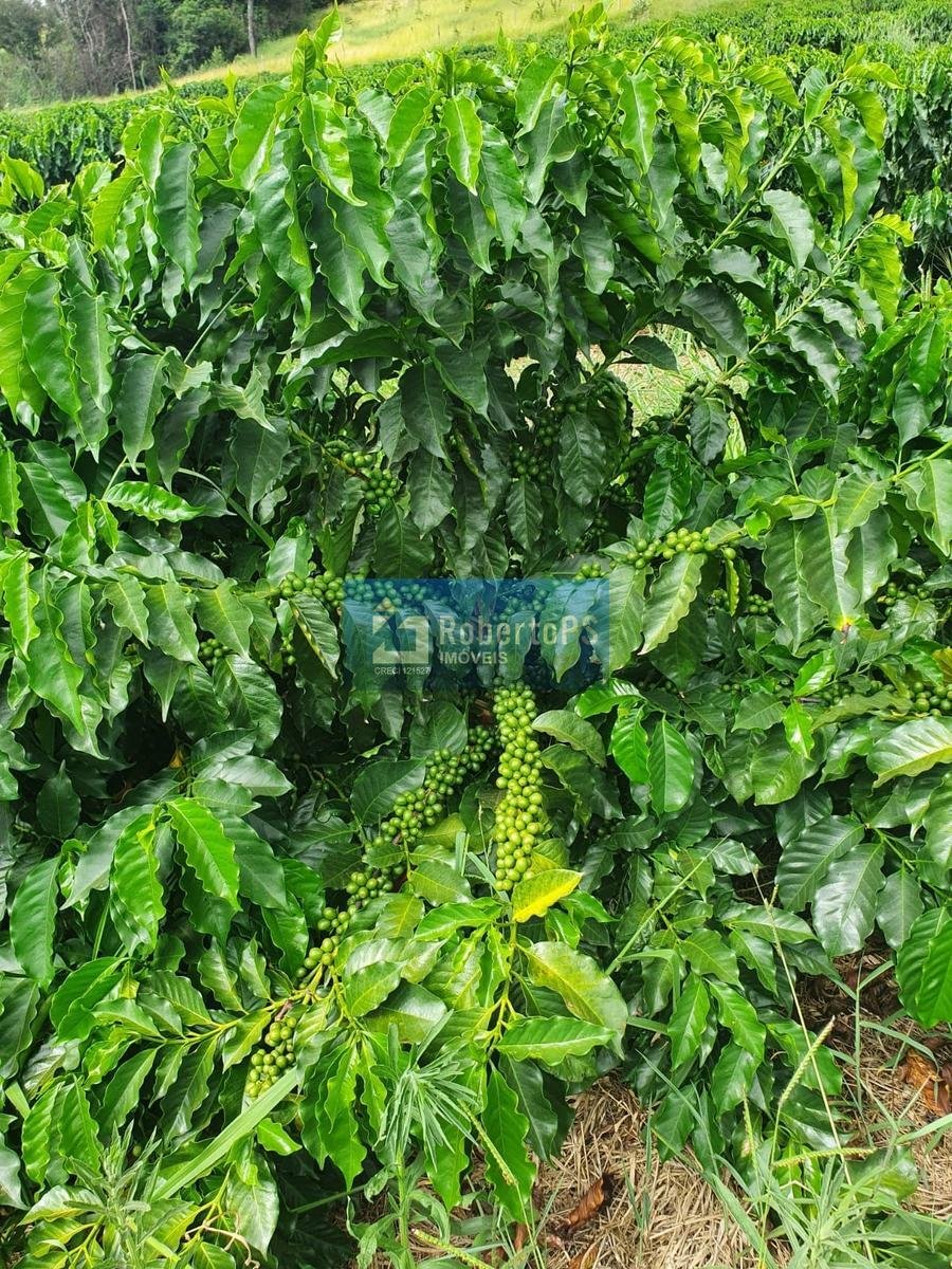 Farm Ranch in Paineiras, State of Minas Gerais, Brazil 4 - 18933338