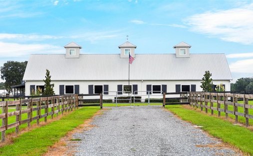 Land in Morriston, Florida, United States 1