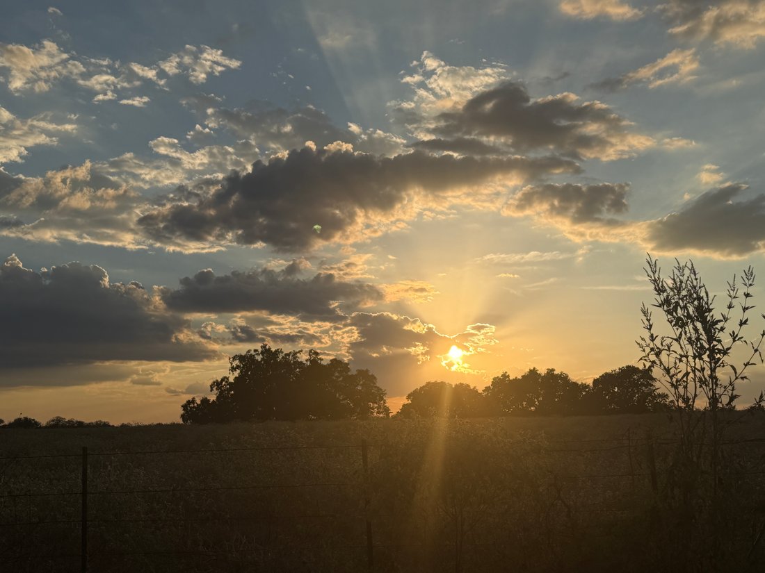 Farm Ranch in Stockdale, Texas, United States 1 - 18935848