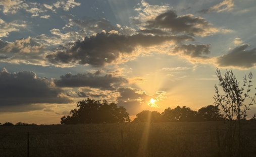 Farm Ranch in Stockdale, Texas, United States 1
