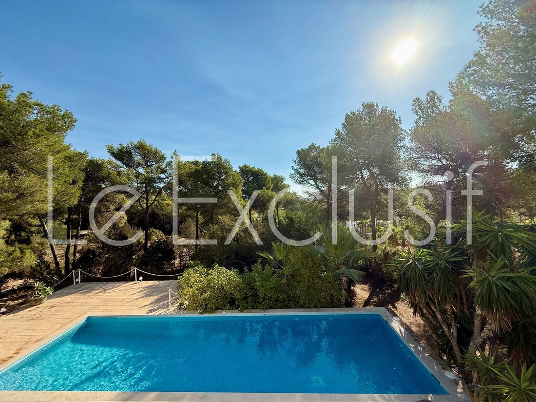 Villa in Santa Gertrudis de Fruitera, Santa Eularia des Riu, Balearic Islands 1 - 18935755