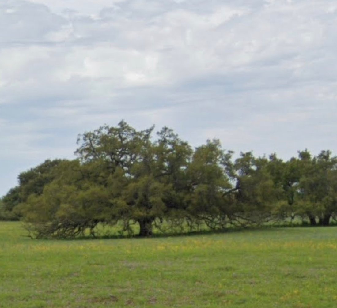 Farm Ranch in Stockdale, Texas, United States 2 - 18935848