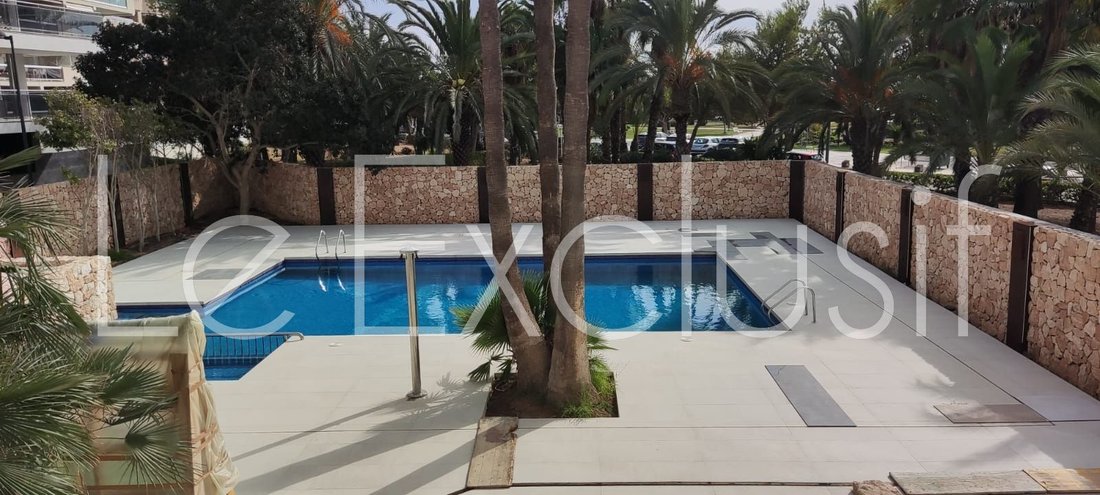 Apartment in Ibiza Town, Balearic Islands, Spain 1 - 18935728