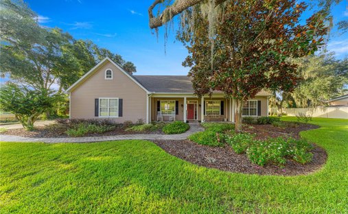 House in Belleview, Florida, United States 1