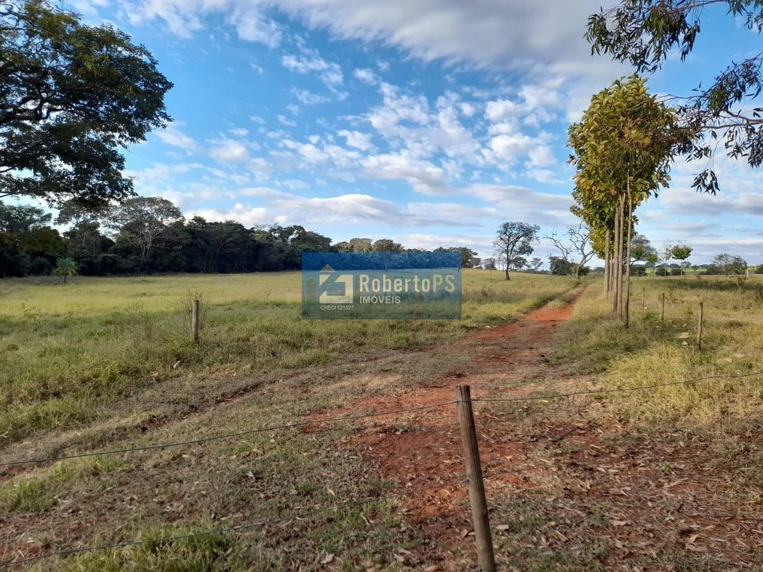 Farm Ranch in Ribeirão Bonito, State of São Paulo, Brazil 5 - 18933336