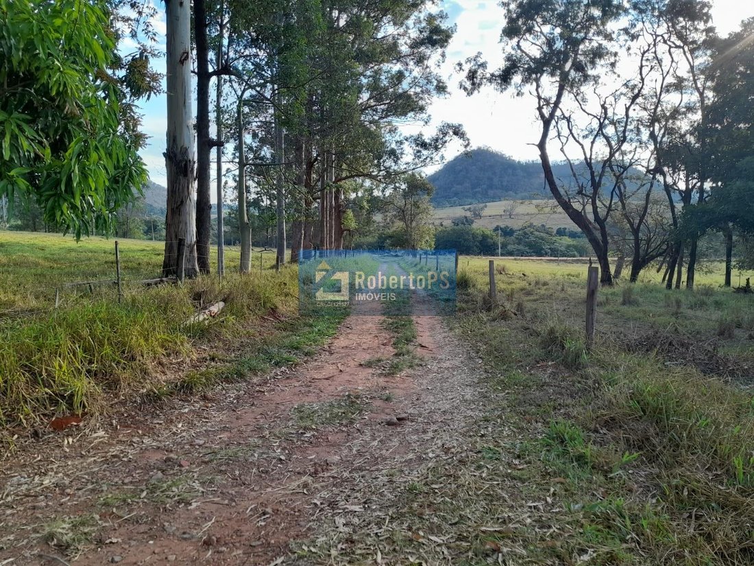 Farm Ranch in Ribeirão Bonito, State of São Paulo, Brazil 1 - 18933336