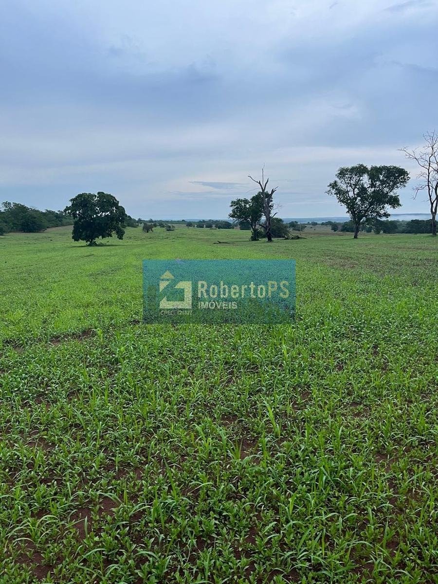 Farm Ranch in Novo São Joaquim, State of Mato Grosso, Brazil 4 - 18933335