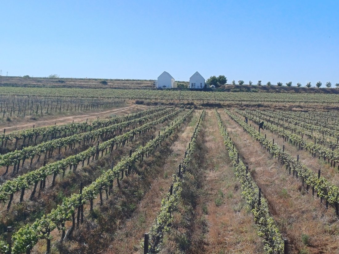 Farm Ranch in Vredendal, Western Cape, South Africa 4 - 18932733