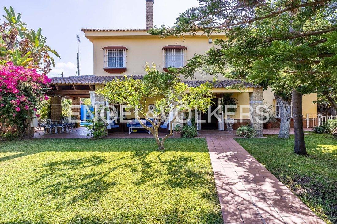 House in Distrito San Pablo-Santa Justa, Seville, Spain 5 - 18935516
