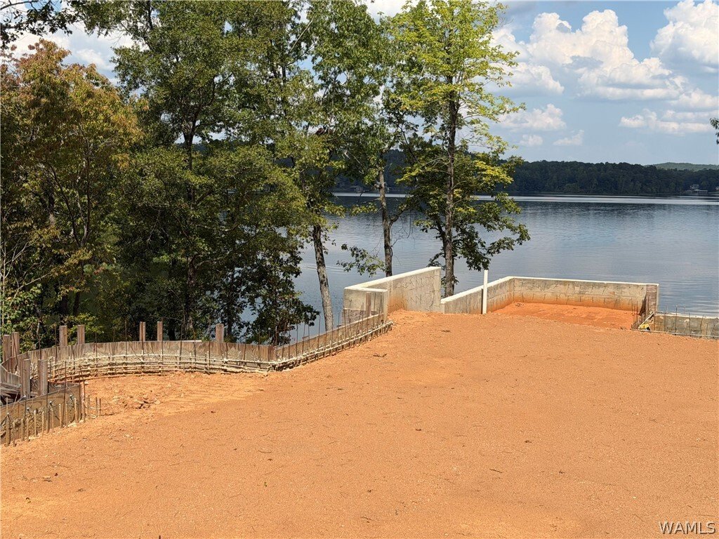 Land in Rockford, Alabama, United States 2 - 18934531