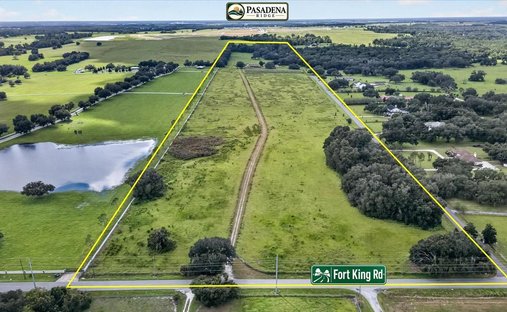 Farm Ranch in Dade City, Florida, United States 1
