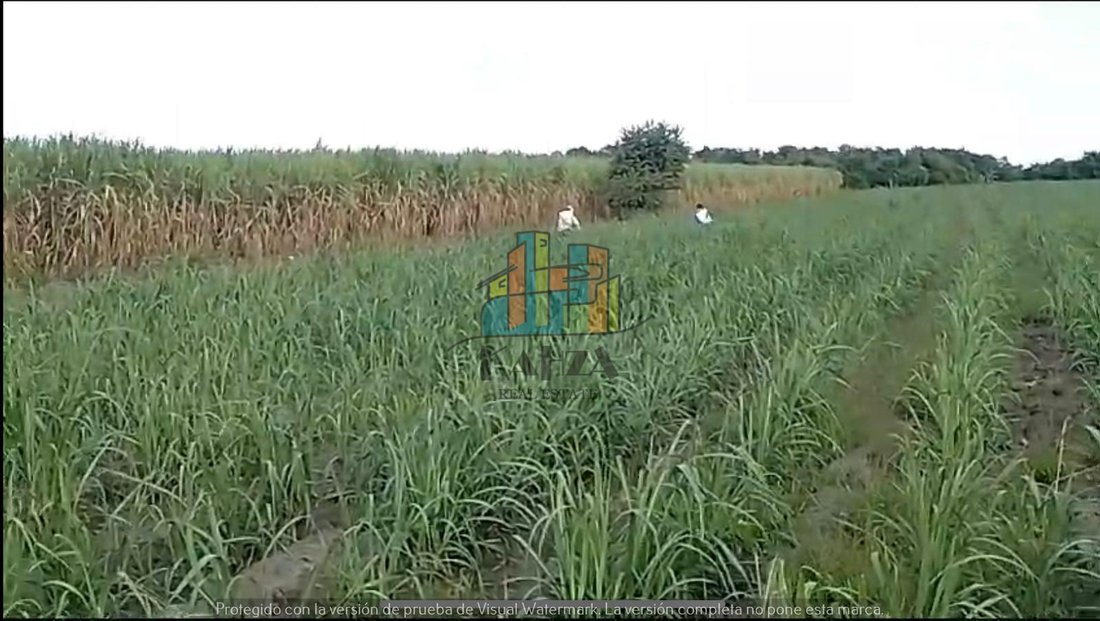 Land in Tamante, Veracruz, Mexico 2 - 18933052