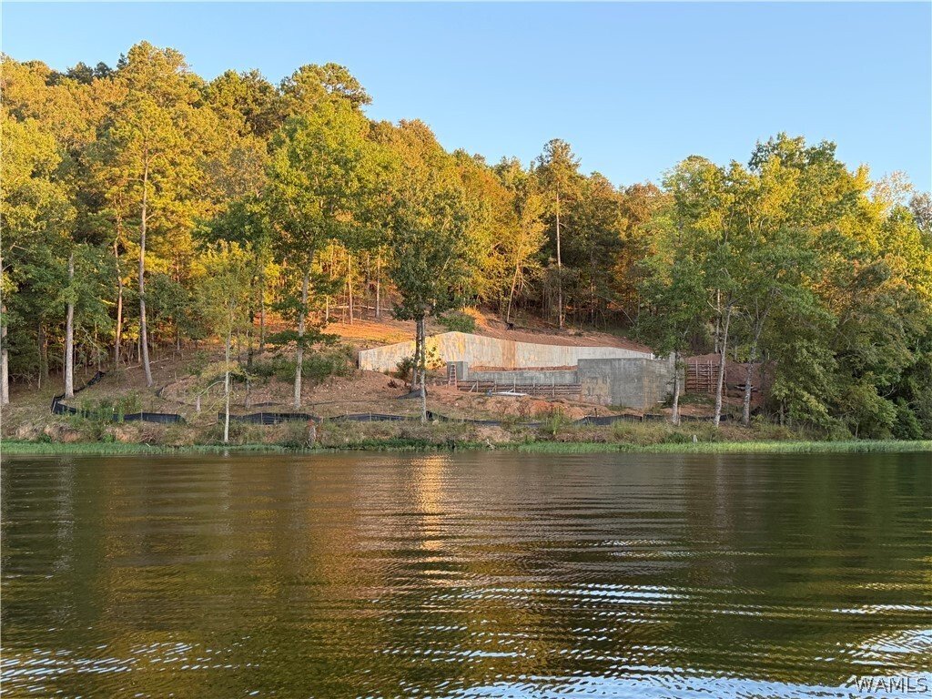 Land in Rockford, Alabama, United States 4 - 18934531