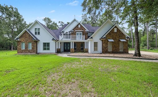 House in Conroe, Texas, United States 1
