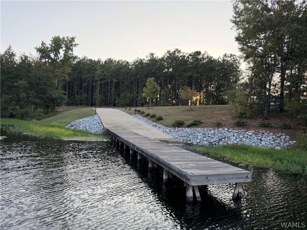 Land in Rockford, Alabama, United States 5 - 18934531