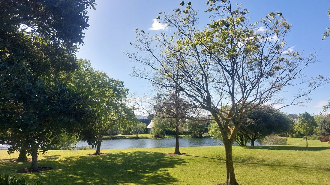 Land in Pearl Valley Golf Estate and Spa, Western Cape, South Africa 4 - 18932719