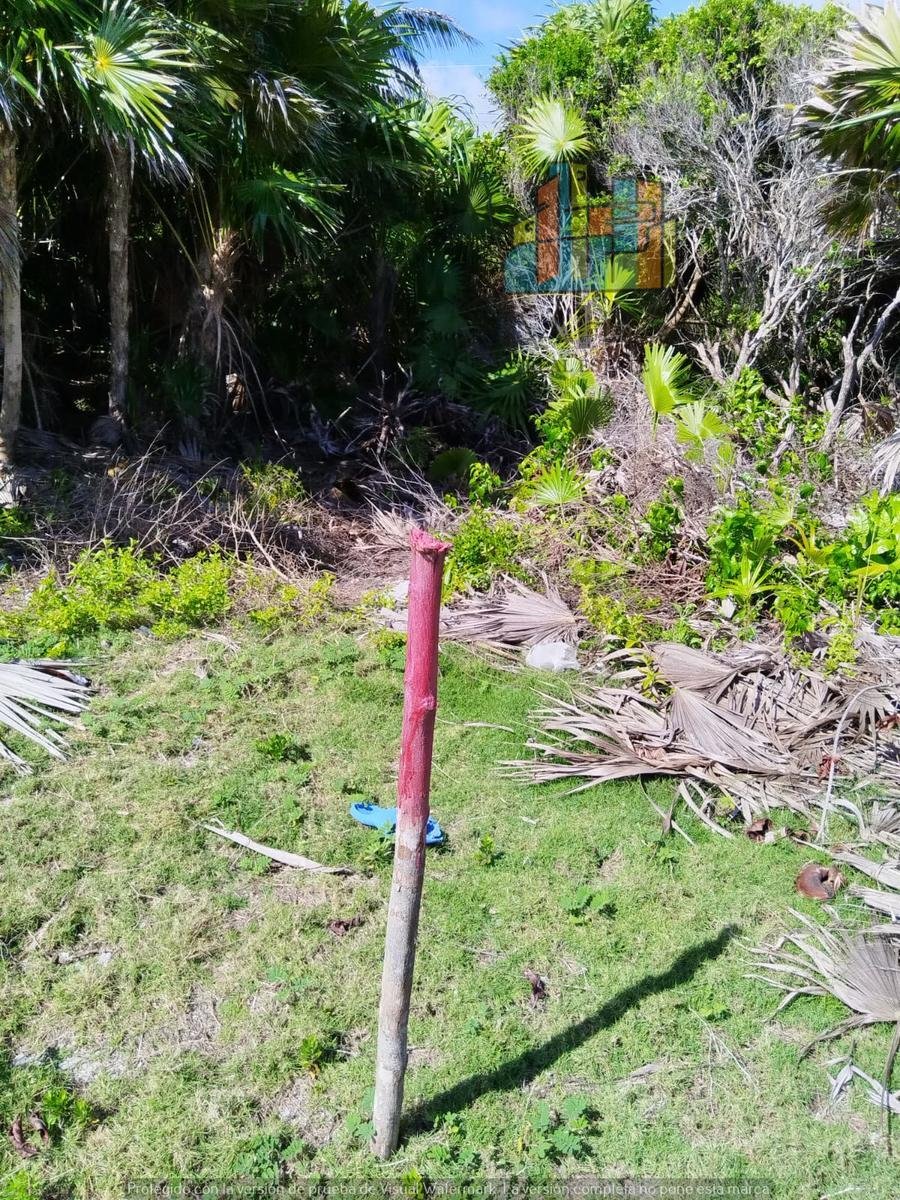 Land in Chetumal, Quintana Roo, Mexico 2 - 18933074