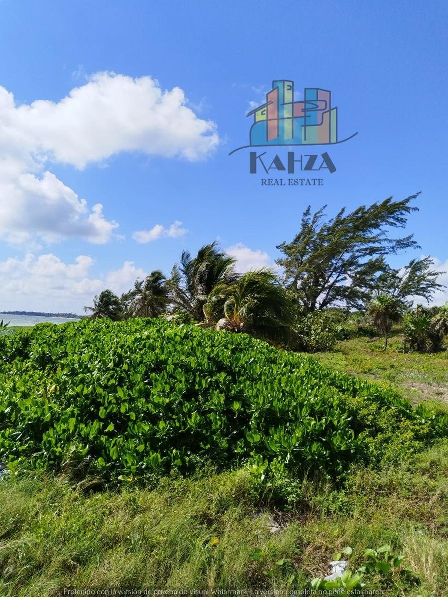 Land in Chetumal, Quintana Roo, Mexico 3 - 18933074