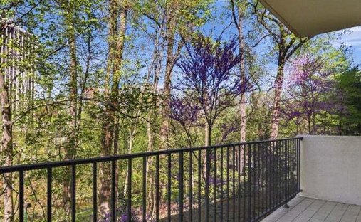 Condo in Chevy Chase, Maryland, United States 1