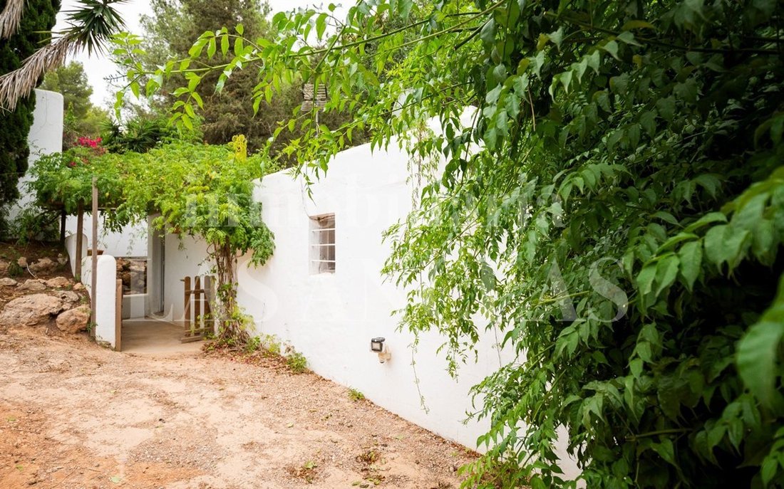 Villa in Jesus, Santa Eularia des Riu, Balearic Islands 5 - 15113665