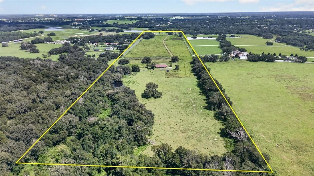 Farm Ranch in Dade City, Florida, United States 4 - 18934390