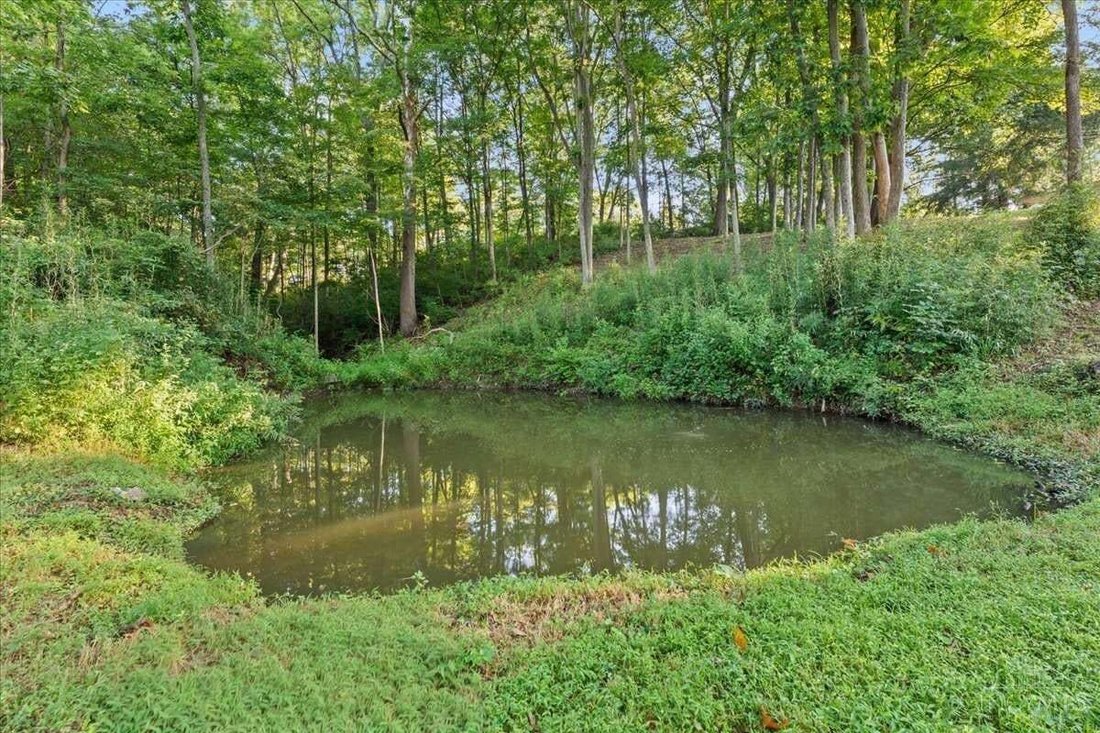 Loveland, Ohio, United States 3 - 18933698