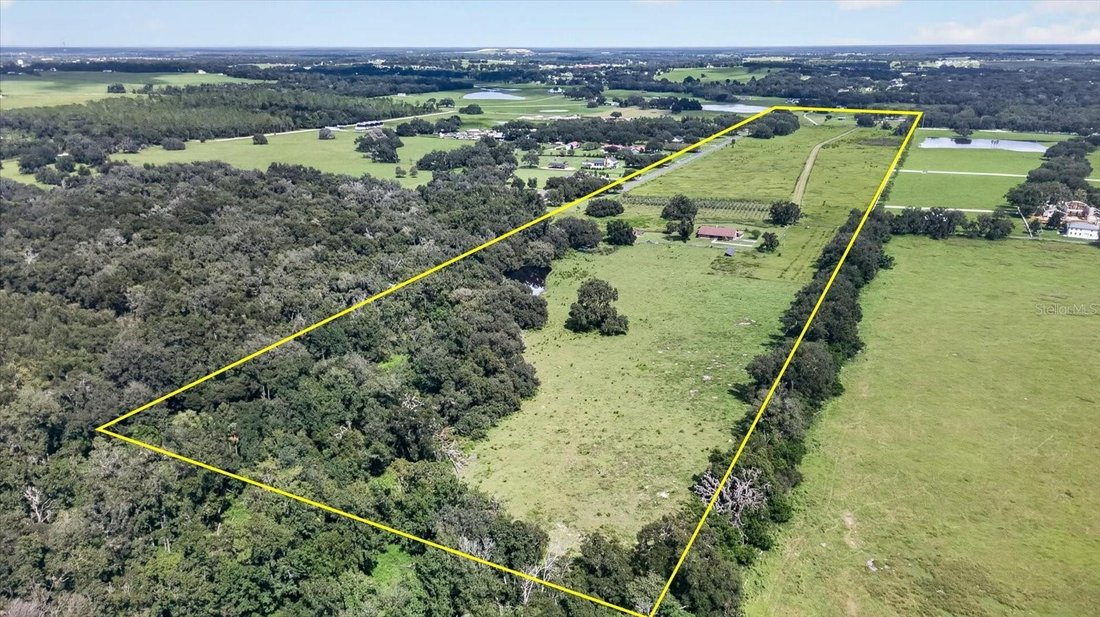 Farm Ranch in Dade City, Florida, United States 5 - 18934390