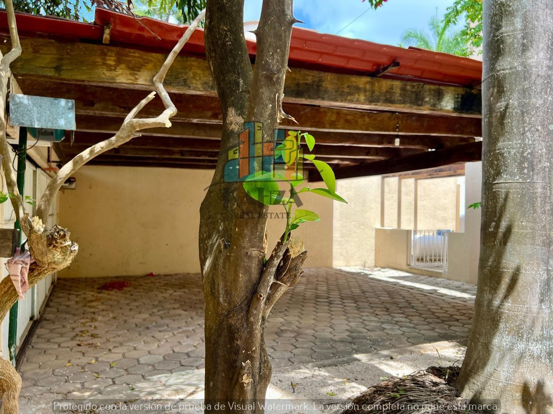 House in Alfredo V. Bonfil, Quintana Roo, Mexico 4 - 18933065
