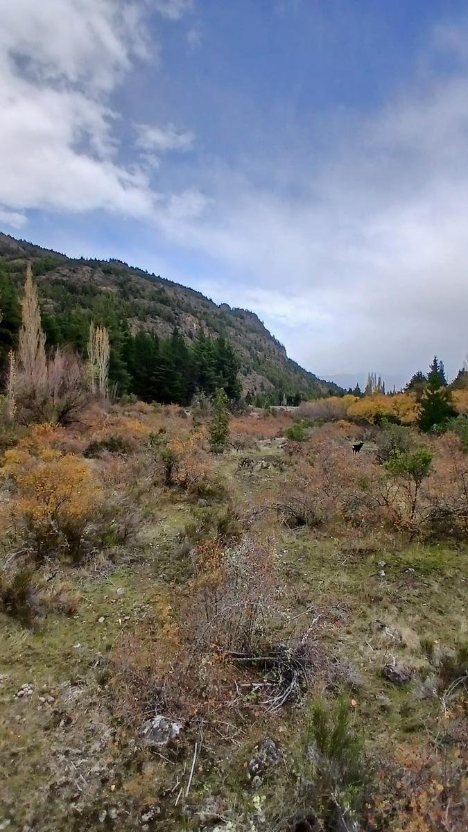 Land in El Bolsón, Río Negro, Argentina 3 - 18933247