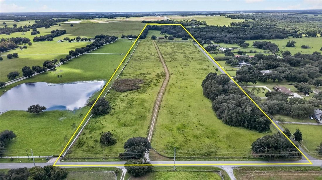 Farm Ranch in Dade City, Florida, United States 3 - 18934390