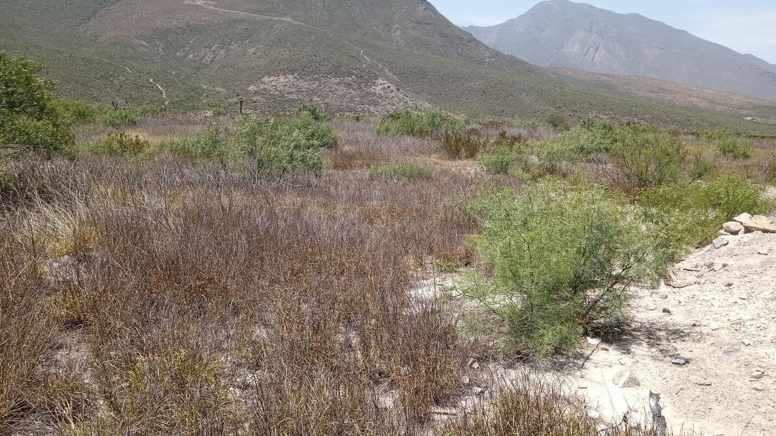 Land in García, Nuevo Leon, Mexico 5 - 18933108