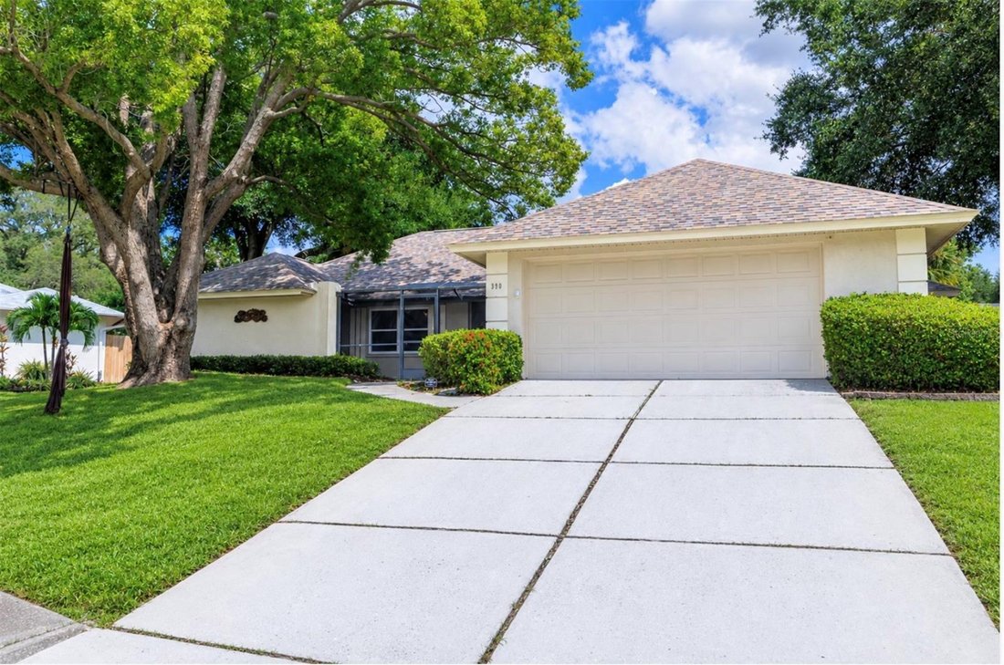 House in Palm Harbor, Florida, United States 5 - 18931837