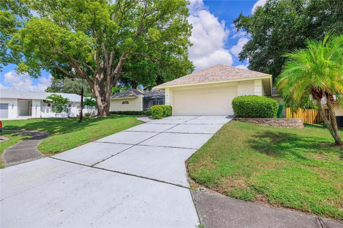 House in Palm Harbor, Florida, United States 4 - 18931837