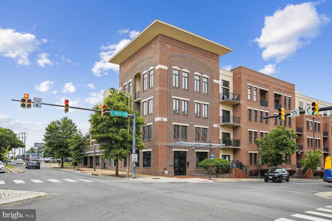 Condo in Alexandria, Virginia, United States 1 - 18189891