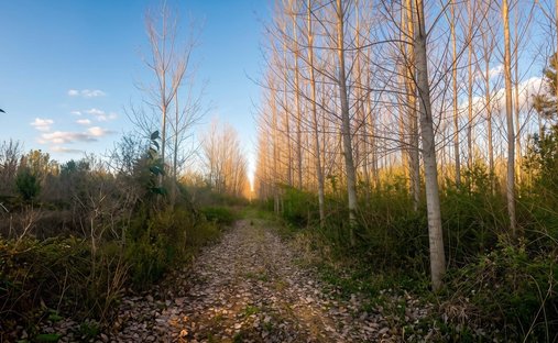Land in San Fernando, Argentina 1