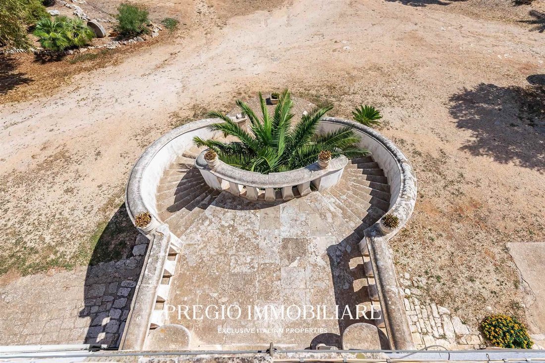 Farm Ranch in Gorgofreddo, Monopoli, Apulia 5 - 18935300