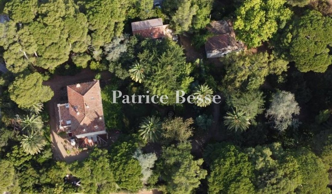 House in Sud, Le Pradet, France 1 - 18935482