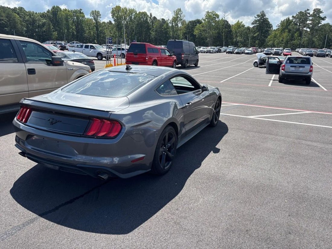 Coupe in Buford, GA, United States 2 - 18932335