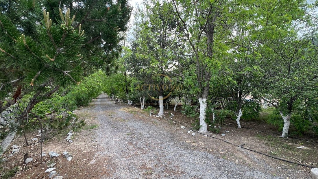 Estate in Los Lirios, Coahuila, Mexico 5 - 18933185