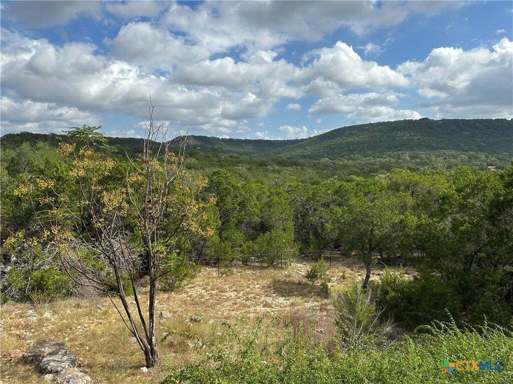 House in Canyon Lake, Texas, United States 1 - 18705239