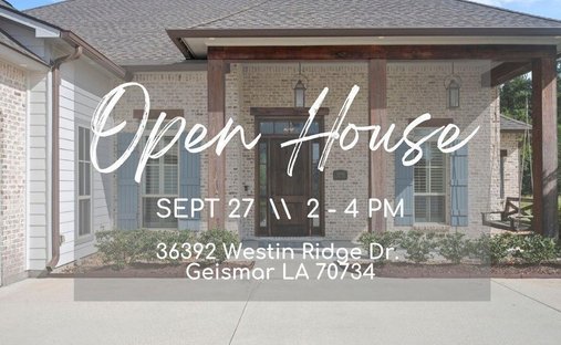 House in Geismar, Louisiana, United States 1