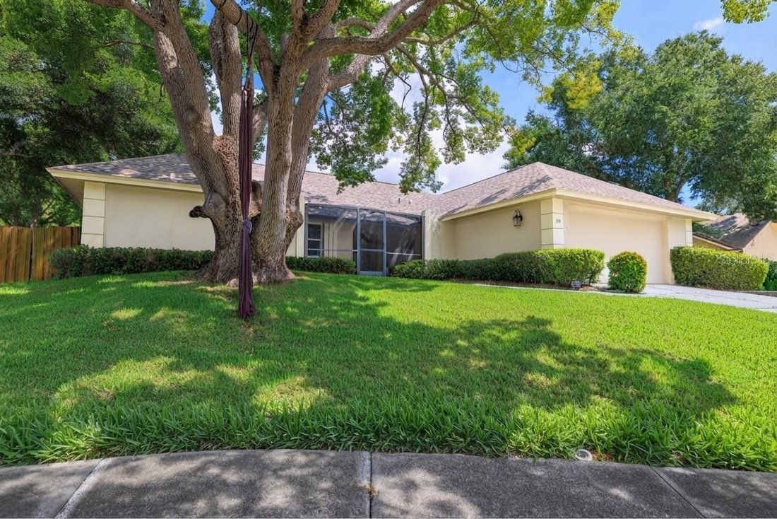 House in Palm Harbor, Florida, United States 3 - 18931837
