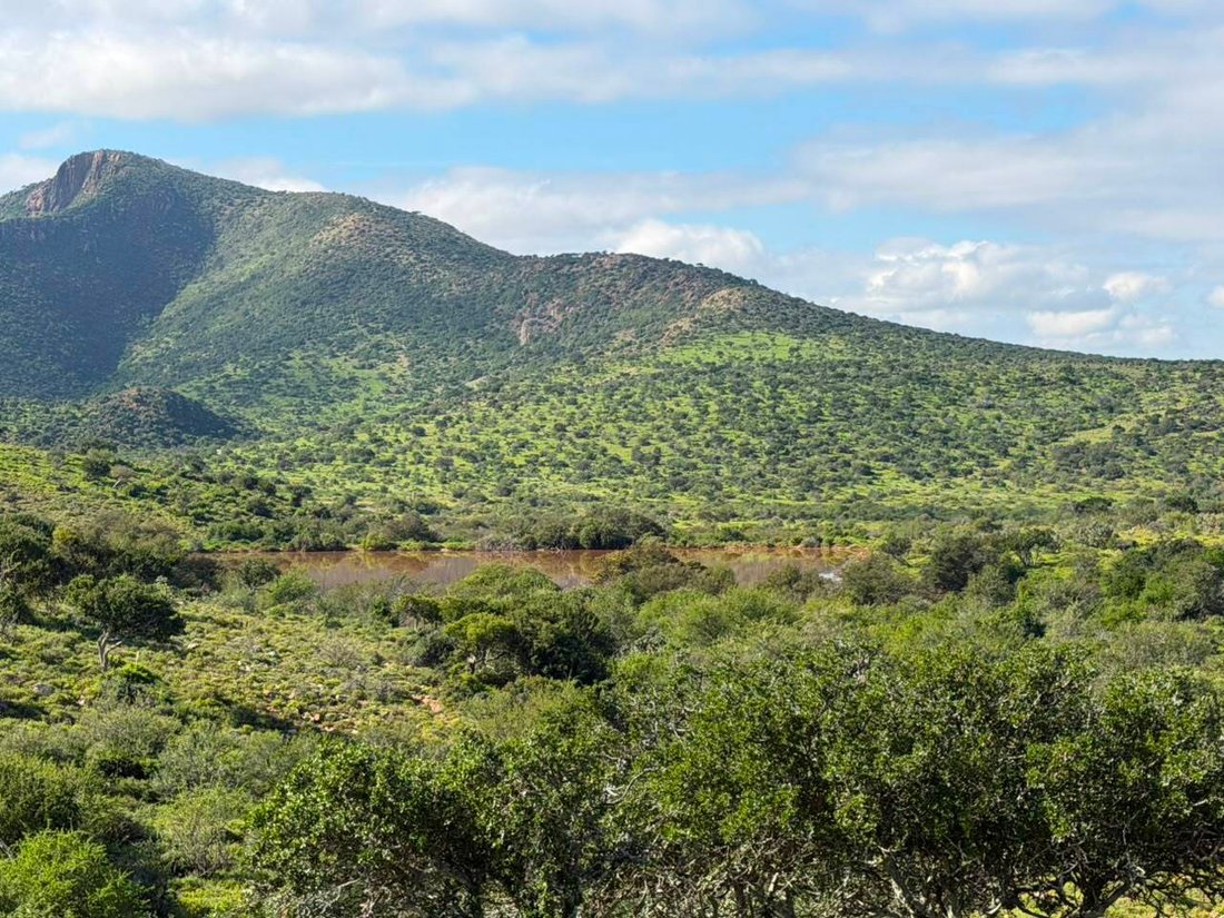 Farm Ranch in Steytlerville, Eastern Cape, South Africa 5 - 18932726