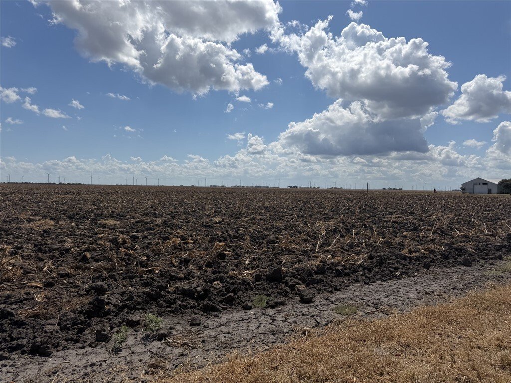 Farm Ranch in Del Sol-Loma Linda, Texas, United States 3 - 18934477