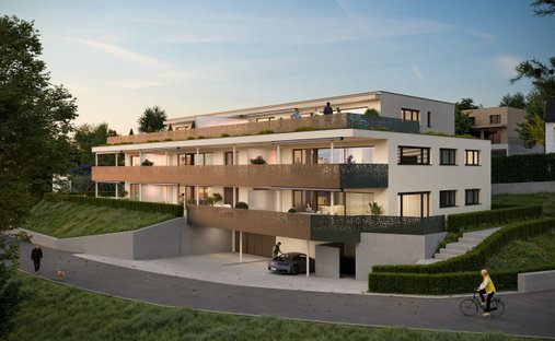 Apartment in Gränichen, Aargau, Switzerland 1
